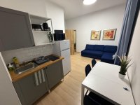 Kiadó téglalakás, albérlet, VIII. kerületben, Népszínház utcában