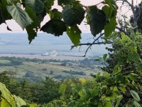 Eladó nyaraló, Pátyon 34.9 M Ft, 1 szobás / költözzbe.hu