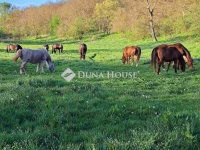 Eladó mezogazdasagi ingatlan