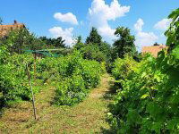 Eladó családi ház, Érden 99 M Ft, 3 szobás