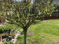 Eladó családi ház, Kecskeméten 149 M Ft, 7 szobás