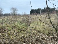 Eladó telek, Gödöllőn 19.9 M Ft / költözzbe.hu