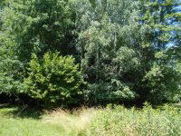 Eladó családi ház, Hegyhátszentjakabon 28 M Ft, 2 szobás