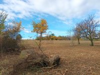 Eladó nyaraló, Kisgörbőn 4.2 M Ft, 1 szobás