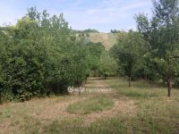 Eladó telek, Zalaszentgróton 3.65 M Ft / költözzbe.hu