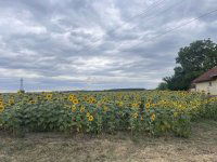 Eladó telek, Tápiógyörgyén 5.9 M Ft / költözzbe.hu