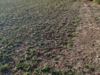 Eladó telek, Kengyelen 2.4 M Ft / költözzbe.hu
