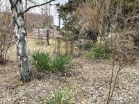 Eladó telek, Budajenőn 65 M Ft / költözzbe.hu