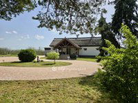 Eladó mezogazdasagi ingatlan, Dánszentmiklóson 124 M Ft