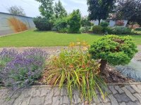 Eladó családi ház, Kecskeméten 149 M Ft, 5 szobás