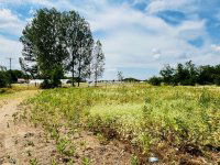 Eladó családi ház, Balástyán 28.9 M Ft, 3 szobás