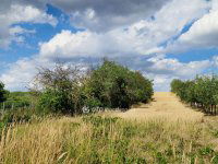 Eladó mezogazdasagi ingatlan