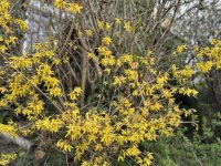 Eladó családi ház, XVIII. kerületben 194.9 M Ft, 4 szobás