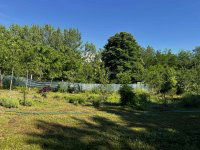 Eladó telek, Tóalmáson 2.5 M Ft / költözzbe.hu