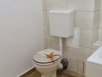 Eladó téglalakás, Kecskeméten 43 M Ft, 2 szobás