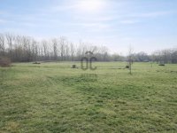 Eladó telek, Sárszentmihályon 27 M Ft / költözzbe.hu