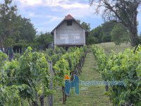 Eladó családi ház, Alsópáhokon 39.9 M Ft, 2 szobás