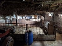 Eladó mezogazdasagi ingatlan, Kunmadarason 29.99 M Ft