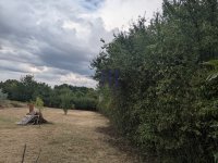 Eladó telek, Gárdonyban 11 M Ft / költözzbe.hu