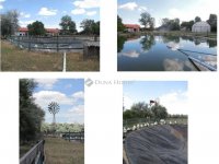 Eladó mezogazdasagi ingatlan, Lajosmizsén 300 M Ft