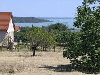 Eladó mezogazdasagi ingatlan, Balatonalmádiban 45 M Ft