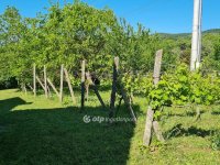 Eladó telek, Ábrahámhegyen 27.5 M Ft / költözzbe.hu