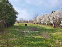 Eladó mezogazdasagi ingatlan, Siófokon 27.5 M Ft