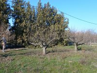 Eladó telek, Érden 14.99 M Ft / költözzbe.hu