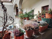 Kiadó téglalakás, albérlet, Egerben 250 E Ft / hó, 2 szobás