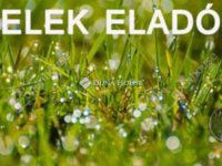 Eladó telek, Kecskeméten 6.9 M Ft / költözzbe.hu