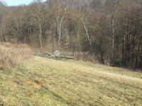 Eladó mezogazdasagi ingatlan, Alsónemesapátiban 55 M Ft