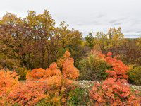 Eladó telek, Pécselyen 24.99 M Ft / költözzbe.hu