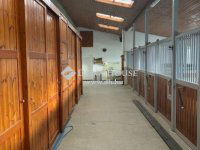 Eladó mezogazdasagi ingatlan, Lentiben 230 M Ft