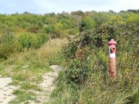 Eladó telek, Cserszegtomajon 57 M Ft / költözzbe.hu