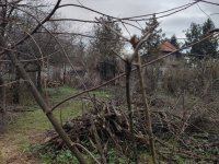 Eladó családi ház, XVII. kerületben 76.9 M Ft, 3 szobás