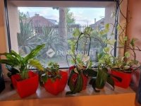 Eladó családi ház, XVII. kerületben 108.9 M Ft, 3 szobás