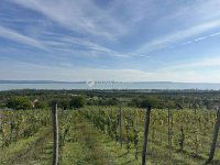 Eladó telek, Balatonakaliban 200 M Ft / költözzbe.hu