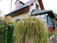 Eladó nyaraló, Székesfehérvárott 18.9 M Ft, 2 szobás