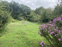 Eladó családi ház, Piliscsabán 149.9 M Ft, 5 szobás