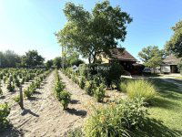 Eladó családi ház, Kecskeméten 54.9 M Ft, 2 szobás