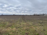 Eladó telek, Hajdúhadházon 1942.78 M Ft / költözzbe.hu