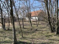 Eladó mezogazdasagi ingatlan, Lajosmizsén 85 M Ft