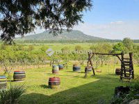 Eladó üzlethelyiség, Hegymagason 664.216 M Ft