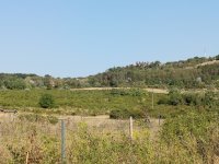 Eladó telek, Vácon 9.5 M Ft / költözzbe.hu
