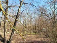 Eladó telek, Dabason 7.99 M Ft / költözzbe.hu