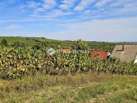 Eladó családi ház, Nagyharsányon 115 M Ft, 5 szobás