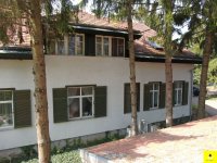 Eladó családi ház, Bükön 250 M Ft, 6 szobás