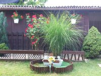 Eladó családi ház, Tóalmáson, Patak utcában 16 M Ft, 2 szobás