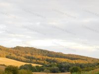 Eladó ipari ingatlan, Bonnyaán 0.89 M Ft / költözzbe.hu