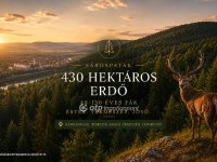 Eladó mezogazdasagi ingatlan, Sárospatakon 3520 M Ft